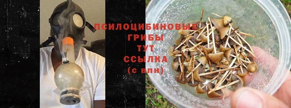 ГАЛЛЮЦИНОГЕННЫЕ ГРИБЫ Арсеньев