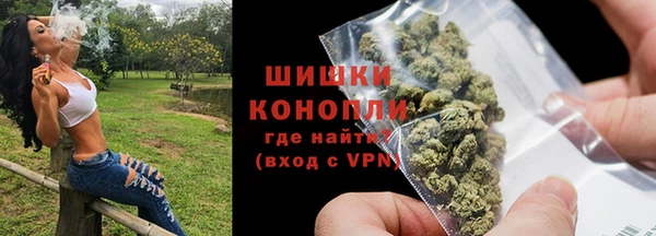 ГАЛЛЮЦИНОГЕННЫЕ ГРИБЫ Арсеньев