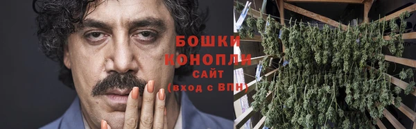 ГАЛЛЮЦИНОГЕННЫЕ ГРИБЫ Арсеньев