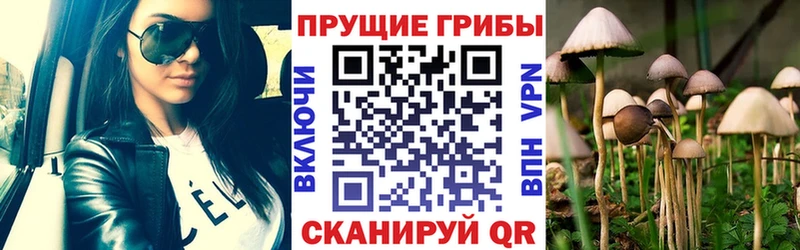 Псилоцибиновые грибы прущие грибы  наркошоп  Тамбов 